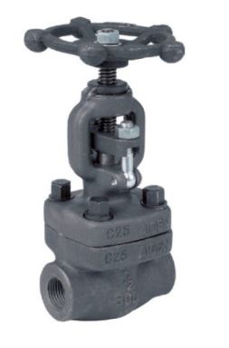 Class 800 Globe Valve Available With NPT & BSP ends