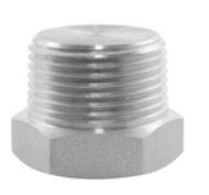 6000lb BSPT Hex Plug 316L