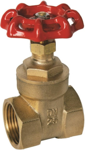DN20 Brass Gate Valve BSPP G3/4 Rotary Sluice Valve - View #2