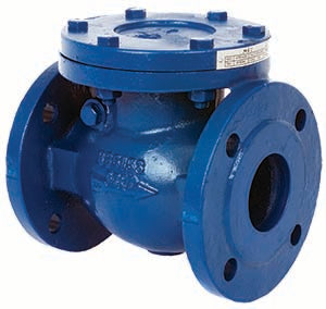 Albion Cast Iron Swing Check Valve PN16 - ART 170