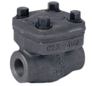 Class 800 Forged Steel Check Valve NPT/BSP/Socket Weld Ends