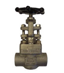 Globe Valve Stainless Steel 316L CL800