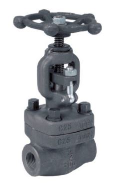 Class 800 Globe Valve (NPT/ BSP)
