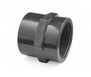 U-PVC Threaded Socket