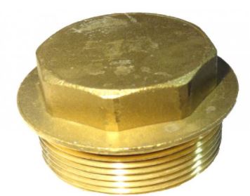 BSPP Flanged Brass Plug
