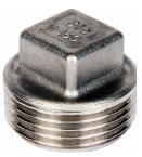BSP Stainless Steel Plugs